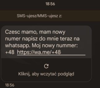 Alt Text